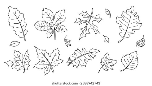 Hand-drawn autumn leaves illustration in a minimalist style. Perfect for seasonal decorations, graphic design, and digital artwork.