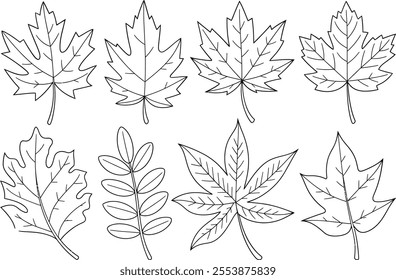 Hand-Drawn Autumn Leaves Outline Collection