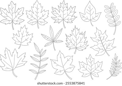 Hand-Drawn Autumn Leaves Outline Collection