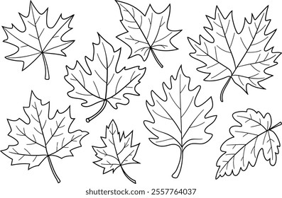 Hand-Drawn Autumn Leaves Outline Collection