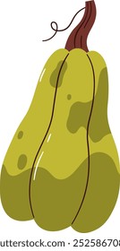 Handdrawn Autumn Pumpkin Vector Illustration