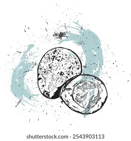 Hand-drawn avocado illustration with ink splatters, fresh fruit vector	