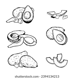 Handgezeichneter Avocado-Set. Vektorgrafik  Illustration.