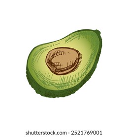 Boceto de aguacate dibujado a mano. Dibujo en Antiguas de mitad de aguacate maduro. Ilustración de boceto de alimentos de contorno de tinta negra de Vector. Comida mexicana, cocina, Latina América. Una ilustración para el menú.