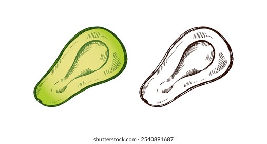 Boceto de aguacate dibujado a mano. Dibujo en Antiguas de mitad de aguacate maduro. Ilustración de boceto de alimentos de contorno de tinta negra de Vector. Comida mexicana, cocina, Latina América. Una ilustración para el menú.