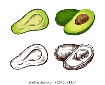 Conjunto de bocetos de aguacate dibujados a mano. Dibujo en Antiguas de aguacates maduros. Ilustración de comida de contorno de tinta negra de Vector. Comida mexicana, cocina, Latina América. Ilustración para el menú.