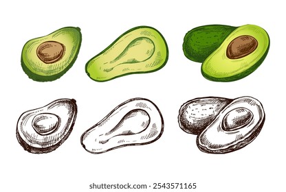 Handgezeichnete Avocado-Skizzen. Vintage Zeichnung von reifen Avocados. Vektorgrafik mit schwarzer Tinte zur Umrissdarstellung von Lebensmitteln. Mexikanische Küche, lateinamerikanische Küche. Abbildung des Menüs.