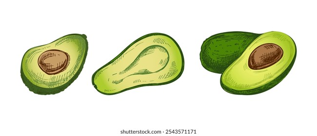 Conjunto de bocetos de aguacate dibujados a mano. Dibujo en Antiguas de aguacates maduros. Ilustración de comida de contorno de tinta negra de Vector. Comida mexicana, cocina, Latina América. Ilustración para el menú.