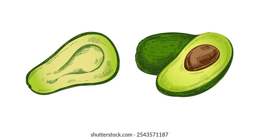 Conjunto de bocetos de aguacate dibujados a mano. Dibujo en Antiguas de aguacates maduros. Ilustración de comida de contorno de tinta negra de Vector. Comida mexicana, cocina, Latina América. Ilustración para el menú.