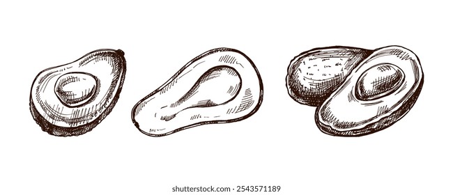 Conjunto de bocetos de aguacate dibujados a mano. Dibujo en Antiguas de aguacates maduros. Ilustración de comida de contorno de tinta negra de Vector. Comida mexicana, cocina, Latina América. Ilustración para el menú.