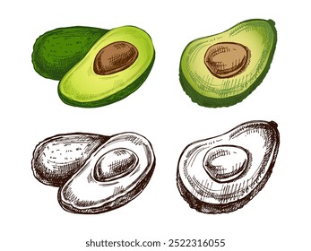 Croquis de aguacates dibujados a mano. Dibujo en Antiguas de aguacate maduro y mitad aguacate. Ilustración de boceto de alimentos de contorno de tinta negra de Vector. Comida mexicana, cocina. Una ilustración para el menú. Latina América.