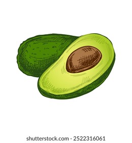 Croquis de aguacates dibujados a mano. Dibujo en Antiguas de aguacate maduro y mitad aguacate. Ilustración de boceto de alimentos de contorno de tinta negra de Vector. Comida mexicana, cocina. Una ilustración para el menú. Latina América.