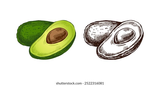 Croquis de aguacates dibujados a mano. Dibujo en Antiguas de aguacate maduro y mitad aguacate. Ilustración de boceto de alimentos de contorno de tinta negra de Vector. Comida mexicana, cocina. Una ilustración para el menú. Latina América.