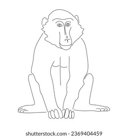 Hand-drawn Baboon. Vector editable stroke.