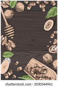 Hand-drawn background hazelnuts and walnuts on a wooden background. Color sketch illustration with a place for the text. Composition for the design of the recipe magazine page, menu, banners. Top view