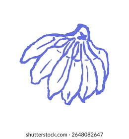 Hand-drawn banana bunch in pastel blue sketch style with rough crayon lines for tropical recipes, whimsical fruit stickers, kids’ illustrations, or exotic summer food packaging, branding.	