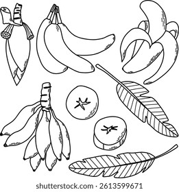 Hand-Drawn Banana Illustrations Including Leaves, Slices, and Peeled Bananas. A doodle-style illustration featuring bananas, banana slices, and leaves drawn in a black-and-white design.