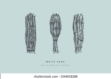 Hand-drawn bandage bundles of a white sage of various shapes. Ancient incense of the Indians of America for meditation and spirituality sessions. Vintage vector illustration on isolated background.