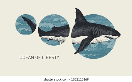 Hand-drawn banner with a big shark and circles with sea waves. Vector illustration on the theme of travel, adventure and discovery in retro style with the words Ocean of liberty on a light background