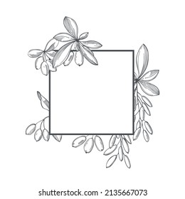 Hand-drawn barberry berries set. Vector frame. Sketch illustration.