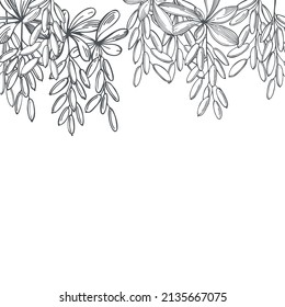 Hand-drawn barberry berries set. Vector background. Sketch illustration.