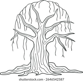 Hand-drawn bare willow tree line art illustration with curved branches and exposed roots. Perfect for nature themes, coloring pages, or minimalist tattoo designs. Simple monochrome vector for creative