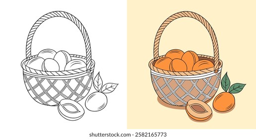 Hand-Drawn Basket of Apricots in Two Artistic Styles Over White and Yellow Background