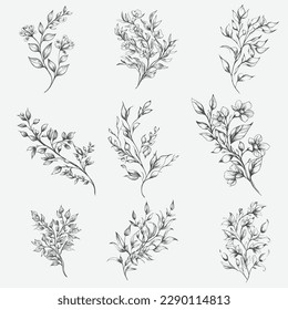 hand-drawn beautiful botanical flower set vector illustration. black and white high detail tropical flowers collection