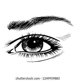 Hand-drawn beautiful female eye, sketch. Makeup, beauty salon symbol. Vintage vector illustration
