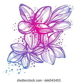 Hand-drawn beautiful tropical flowers. High-detailed vector art isolated in line style. Asia, Thailand. Ink, tattoo and boho element, prints, t-shirts.