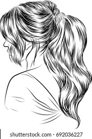 Handdrawn Beauty Woman Luxurious Long Ponytail Stock Vector (Royalty ...