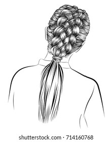 Handdrawn Beauty Woman Luxurious Long Ponytail Stock Vector (Royalty ...