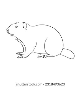 Hand-drawn Beaver. Sketch vector illustration. 