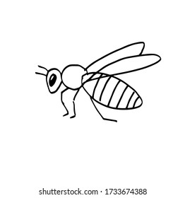 A hand-drawn bee. Sketch. Doodle. Vector illustration