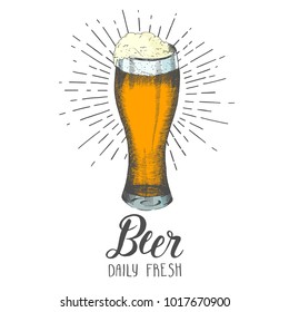 Hand-drawn beer isolated on white. Trendy element for fast food menu. Hand made lettring. Vector object. Sketch, engraving. Beer festival