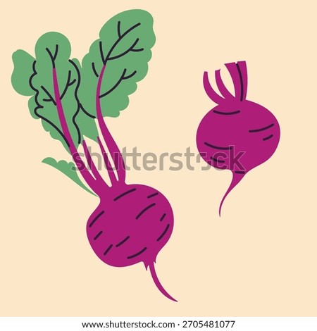 Hand-drawn beet in flat, doodle, minimalist style. Simple  design. Perfect for food packaging, kitchen prints, menus, and healthy 