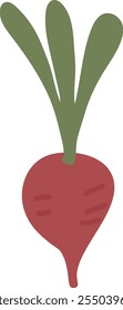 Ilustração de vetor vegetal de beterraba desenhada à mão