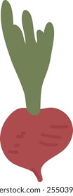 Ilustração de vetor vegetal de beterraba desenhada à mão