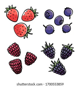 Hand-drawn berries. Strawberries, blueberries, raspberries, blackberries. 