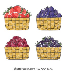 Hand-drawn berry baskets in a traditional ink drawing style. Local produce set.