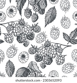 Hand-drawn berry. Raspberry on white background. Vector seamless pattern.

