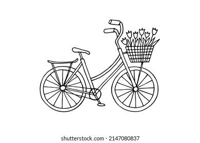 Hand-drawn bicycle with a basket of tulips. Doodle vector illustration isolated on white background. Design element for card, cover, sticker.