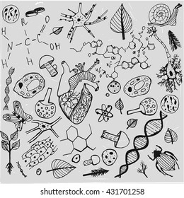 Handgezeichnetes biologisches Bild. Bearbeitbare Vektorgrafik in Schwarz-Weiß-Farben. Botanik, Biologie-Handschrift mit Insekten, Pflanzen und Molekülen auf grauem Hintergrund für die Präsentation der wissenschaftlichen Bildung