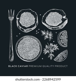 Hand-drawn black caviar sketches set isolated on chalkboard. Black caviar in opened tin can, caviar canape, lemons, spices vector drawings. Seafood delicacy illustrations for restaurant or finger food
