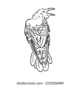 Hand-drawn black crow. Raven, bird sketch, vector illustration