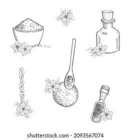 Hand-drawn black cumin  set. Flowers, oil and  seeds.  Vector sketch illustration 