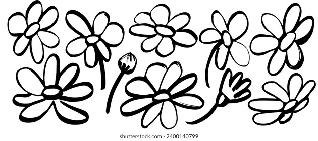 Handdrawn black daisy. Ink drawing flowers and leaves in naive style, childish or primitive drawing. botanical illustration.  Black and white vector.  Abstract blossom with stems.