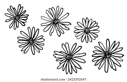 Handdrawn black daisy. Ink drawing flowers and leaves in naive style, childish or primitive drawing. botanical illustration.  Black and white vector.  Abstract blossom with stems.