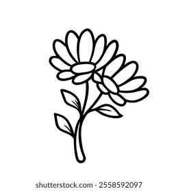 Hand-drawn black flowers bouquet, illustration outline image, Botanical bunch with flowers and leaves , Minimalist contour drawing of flower.  Thin line drawing of flower botany.