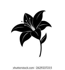 Hand-drawn black lily flower sketch vector
illustration for postcard on white background